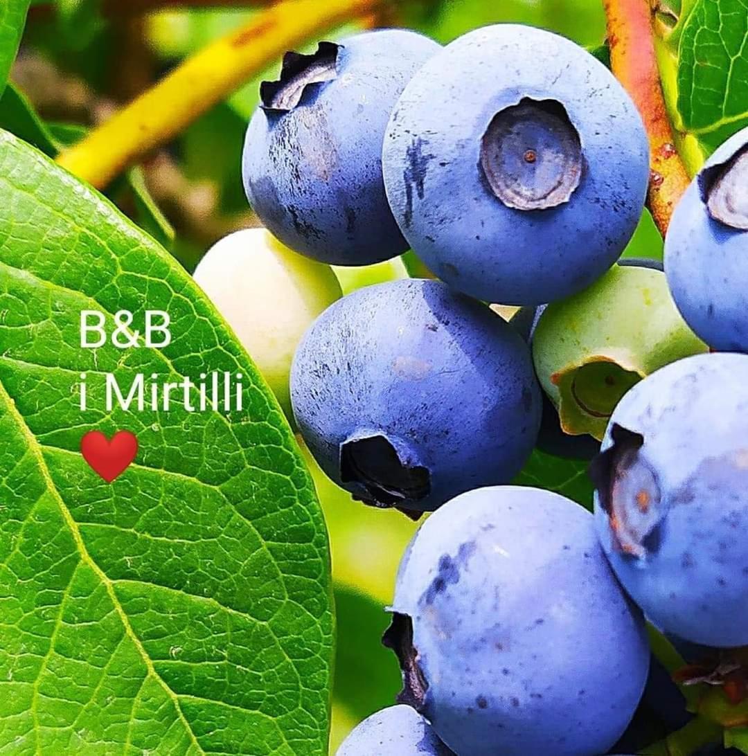 Pianezze I Mirtilli מראה חיצוני תמונה